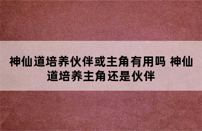 神仙道培养伙伴或主角有用吗 神仙道培养主角还是伙伴